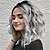 cheap Synthetic Trendy Wigs-Synthetic Wig Loose Curl Middle Part Wig Long Grey Synthetic Hair 10 inch Women&#039;s Women Gray