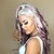 cheap Synthetic Trendy Wigs-Synthetic Wig Curly Middle Part Wig Long Brown / White Synthetic Hair 34 inch Women&#039;s Women Silver