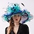billiga Partyhatt-Organza / Fjädrar Kentucky Derby Hat / fascinators / Huvudbonad med Fjäder / Blomma / Lager 1 st. Bröllop / Utomhus / Hästrace Hårbonad