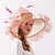 cheap Party Hats-Organza / Feathers Kentucky Derby Hat / Fascinators / Headdress with Feather / Flower / Tiered 1 PC Wedding / Outdoor / Horse Race Headpiece