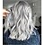 cheap Synthetic Trendy Wigs-Synthetic Wig Loose Curl Middle Part Wig Long Grey Synthetic Hair 10 inch Women&#039;s Women Gray