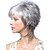 cheap Synthetic Trendy Wigs-Synthetic Wig Natural Straight Asymmetrical Wig Short Grey Synthetic Hair 12 inch Women&#039;s Party Brown