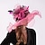 זול כובע מסיבות-אורגנזה / נוצות / רשת קנטקי דרבי כובע / מפגשים / מצנפת עם נוצות / פרח / נֶטוֹ חלק 1 חתונה / בָּחוּץ / מסיבת תה כיסוי ראש