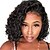 cheap Human Hair Wigs-Curly Human Hair Wig Malaysian Short Bob Lace Front Human Hair Wigs For Black Women Full and Thick Dolago Hair 130% Density with Baby Hair