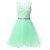 cheap Cocktail Dresses-A-Line Hot Graduation Cocktail Party Dress Illusion Neck Sleeveless Short / Mini Lace with Crystals Appliques 2022