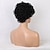 abordables Perruques sans bonnet-Mélange de cheveux humains Perruque Court Kinky Curly Coupe Lutin Coiffures courtes 2020 Baie Très Frisé Bouclé Perruque afro-américaine Pour Cheveux Africains Femme Noir de Jais #1 8 pouces