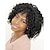 cheap Synthetic Wigs-Synthetic Wig Curly Afro Curly With Bangs Wig Medium Length Natural Black Synthetic Hair 14 inch Women&#039;s Synthetic Comfortable African American Wig Black / Doll Wig / For Black Women