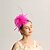 abordables Chapeaux et coiffes-Lin / Plumes Fascinateurs avec Plume 1 pc Mariage / Occasion spéciale / Journée des dames Casque