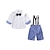 cheap Sets-Boys 3D Color Block Shirt &amp; Shorts Formal Set Long Sleeve Summer Active Basic Casual Cotton Spandex Kids Toddler School Party Regular Fit