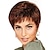 halpa Huippulaadukkaat peruukit-Synteettiset peruukit Otsatukat Kihara Vapaa osa Peruukki Lyhyt Ruskea / viininpunainen Synteettiset hiukset 12 inch Naisten Muodikas malli Naisten synteettinen Ruskea