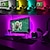 preiswerte LED Leuchtbänder-LED-Lichtstreifen 2m USB flexible Tiktok-Lichter TV-Hintergrundbeleuchtung 60led 10mm wasserdichte mehrfarbige TV-Hintergrundbeleuchtung mit Infrarot-Fernbedienung Halloween-TV-Computerhintergrund