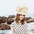 abordables Fascinateurs &amp; Chapeaux-Élégant Derby accessoire Fascinateur Dame Déguisement Femmes Carnaval Soirée Derby Fête de mariage Adulte fascinateur Printemps &amp; Été