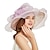 ieftine Pălării Party-organza Veșminte de cap cu Flori / Șifonat 1 Bucată Nuntă / Sporturi &amp; Exterior / Petrecere ceai Diadema