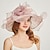 ieftine Pălării Party-organza Veșminte de cap cu Flori / Șifonat 1 Bucată Nuntă / Sporturi &amp; Exterior / Petrecere ceai Diadema