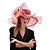 cheap Party Hats-Organza Headwear with Flower / Ruffle 1 PC Wedding / Sports &amp; Outdoor / Tea Party Headpiece