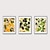 olcso Botanikus nyomatok-3 panel falfestmény vászonképek festmény grafika kép növény gyümölcs lakberendezési dekoráció kifeszített keret felakasztásra kész