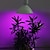 baratos Luz LED Ambiente-planta led crescer lâmpada plantas internas crescendo lâmpada braçadeira espectro completo 85-265v 15w e27 126smd 90 vermelho 36 azul vegs flor sistema hidropônico