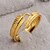 זול Fashion Ring-נשים פתח את הטבעת קלאסי זהב זהב 18K מילא נוצה מסוגנן 1pc מתכווננת / בגדי ריקוד נשים