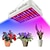 זול נורות גידול צמחים-10000 lm 100 LED חרוזים קל להרכבה גוברת אור מתקן לבן טבעי אדום כחול 85-265 V מודרני עכשווי