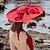 Χαμηλού Κόστους Καπέλα για Πάρτι-Ύφασμα Καπέλο Ντέρμπι / Καπέλα με 1 Ειδική Περίσταση / Ιπποδρομία / Ημέρα της Γυναίκας Ακουστικό