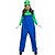 cheap Men&#039;s &amp; Women&#039;s Halloween Costumes-Uniforms Mario Cosplay Costume Hat Masquerade Costume Adults&#039; Men&#039;s Party / Evening Halloween Christmas Halloween Carnival Festival / Holiday Polyster Red / Green Men&#039;s Women&#039;s Male Easy Carnival