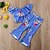 preiswerte Sets-Kinder Baby Mädchen Aktiv Grundlegend Blumen Geometrisch Druck Rüsche Druck Kurzarm Standard Standard Kleidungs Set Blau