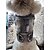 billige Hundetøj-Hund Frakker Denimjakker Hvalpe tøj Jeans Cowboy Mode udendørs Vinter Hundetøj Hvalpe tøj Hund outfits Blå Kostume til Girl and Boy Dog Denimstof XS S M L XL XXL