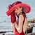abordables Chapeaux de fête-plumes organza fascinateurs chapeaux bandeau classique style féminin