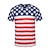 cheap Anime T-Shirts-Adults&#039; Men&#039;s Cosplay American Flag Cosplay Costume T-shirt For Halloween Daily Wear Cotton Independence Day T-shirt
