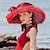 economico Cappelli per feste-copricapo in organza di piume cappelli in copricapo stile femminile classico