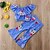 voordelige Sets-Kinderen Peuter Meisjes Actief Standaard Bloemen Geometrisch Print Ruche Print Korte mouw Normaal Normaal Kledingset blauw