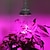 levne Svítidla pro rostliny-1ks 80 W 4000-5000 lm 120 LED korálky plné spektrum pro skleníkové hydroponické LED pěstování světel rostoucí svítidlo bílá červená modrá 85-265 V zeleninový skleník