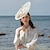 abordables Chapeaux et coiffes-fascinateurs plume de lin kentucky derby chapeau casque