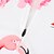voordelige Damesfietskleding-21Grams Dames Wielrenshirt Korte mouw Fietsen Shirt Kleding Bovenlichaam met 3 achterzakken Bergracen Wegwielrennen Ademend Sneldrogend Vochtregelerend Wit Flamingo Flora Botanisch Cactus Spandex