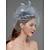 זול כובעים וקישוטי שיער-net fascinators קנטאקי דרבי כובע / כיסוי ראש / כיסוי ראש עם נוצה / פרח / קישוט 1 מחשב חתונה / אירוע מיוחד / כיסוי ראש ליום הנשים