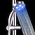 cheap Hand Shower-Contemporary Hand Shower Chrome Feature - Shower / Color Gradient / Rainfall, Shower Head