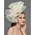זול כובעים וקישוטי שיער-רשת מפגשים / מצנפת / אביזר לשיער עם נוצות / פרח / קצוות חלק 1 חתונה / אירוע מיוחד / מסיבת תה כיסוי ראש