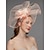 preiswerte Faszinator-Blume Federnetz Fascinators Hut Kentucky Derby Kopfbedeckung 1 Stück Pferderennen Damentag Pferderennen elegant &amp; luxuriös mit Clip-Stirnband Kopfbedeckung
