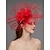 cheap Fascinators-Net Fascinators / Headdress / Headpiece with Feather / Flower / Trim 1 PC Special Occasion / Horse Race / Ladies Day Headpiece