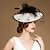 Χαμηλού Κόστους Fascinators-κεφαλόδεσμοι fascinators καπέλο kentucky derby 100% λινό καπέλο κουβά καπέλο πιατάκι καπέλο ειδική περίσταση για πάρτι/βραδινό κοκτέιλ βασιλικό άσκοτ με φτερά κεφαλής