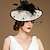 Χαμηλού Κόστους Fascinators-κεφαλόδεσμοι fascinators καπέλο kentucky derby 100% λινό καπέλο κουβά καπέλο πιατάκι καπέλο ειδική περίσταση για πάρτι/βραδινό κοκτέιλ βασιλικό άσκοτ με φτερά κεφαλής