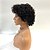 cheap Human Hair Wigs-Remy Human Hair Lace Front Wig Side Part style Brazilian Hair Wavy Black Wig 130% Density Women&#039;s Short Human Hair Lace Wig beikashang