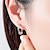 ieftine Cercei Bărbați-Men&#039;s Women&#039;s Hoop Earrings Geometrical Precious Simple Dangling Modern Trendy Rock Stainless Steel Earrings Jewelry Black / Silver For Party Street Carnival Club Bar 1 Pair