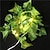 preiswerte LED Lichterketten-künstliche pflanzen led lichterkette 2m 1/3/6 pack kriechpflanze grünes blatt home hochzeit outdoor efeu rebe dekoration lampe diy hängende garten terrasse hof (ohne batterie)