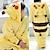 preiswerte Kigurumi Pyjamas-Kinder Kigurumi-Pyjamas Giraffe Pika Pika Totoro Tier Pyjamas-Einteiler Lustiges Kostüm Polyester-Mikrofaser Cosplay Für Jungen und Mädchen Halloween Tiernachtwäsche Karikatur