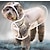 Χαμηλού Κόστους Ρούχα για σκύλους-Αδιάβροχο Πάλτο Αδιάβροχο Μονόχρωμο διαφανής Απίθανο ΕΞΩΤΕΡΙΚΟΥ ΧΩΡΟΥ Φθινόπωρο Χειμώνας Άνοιξη Ρούχα για σκύλους Ρούχα κουταβιών Στολές για σκύλους Πράσινο Ανοικτό Μαύρο Ροζ Στολές Παιδιά