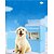cheap Dog Training &amp; Behavior-Dog Training Pet Training and Puppy Pads Cat Dog Rabbit Dog Rabbits Cat Pets Trainer Easy to Install Safety Nonwoven For Pets