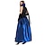 cheap Men&#039;s &amp; Women&#039;s Halloween Costumes-Vampire Dress Cosplay Costume Party Costume Adults&#039; Women&#039;s Cosplay Vacation Dress Halloween Halloween Festival / Holiday Tulle Cotton / Polyester Blend Blue Women&#039;s Easy Carnival Costumes / Gloves