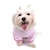 billiga Hundkläder-Katt Hund Jumpsuits Pyjamas Tecknat Ledigt / vardag söt stil Vinter Hundkläder Valpkläder Hundkläder Gul Blå Rosa Kostym för tikar och hundar Bomull XS S M L XL