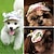 ieftine Îmbrăcăminte Câini-hanorace pentru câine bandane și pălării pălărie sport florale botanice haine pentru câini haine pentru cățeluși ținute pentru câini camuflaj dungă de culoare roșu / alb costum pentru fete și băieți țesătură terilen oxford